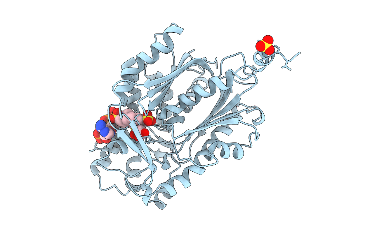 1CML image