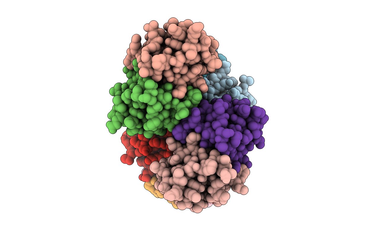 1CNO image