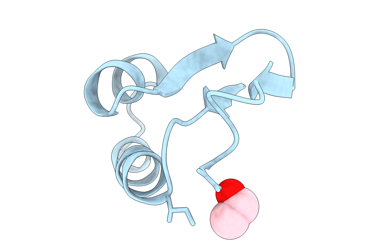 1CNR image