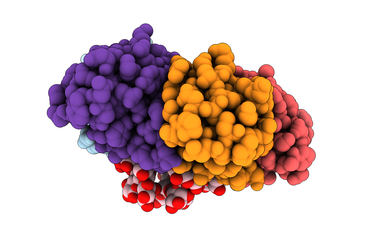 1CQF image