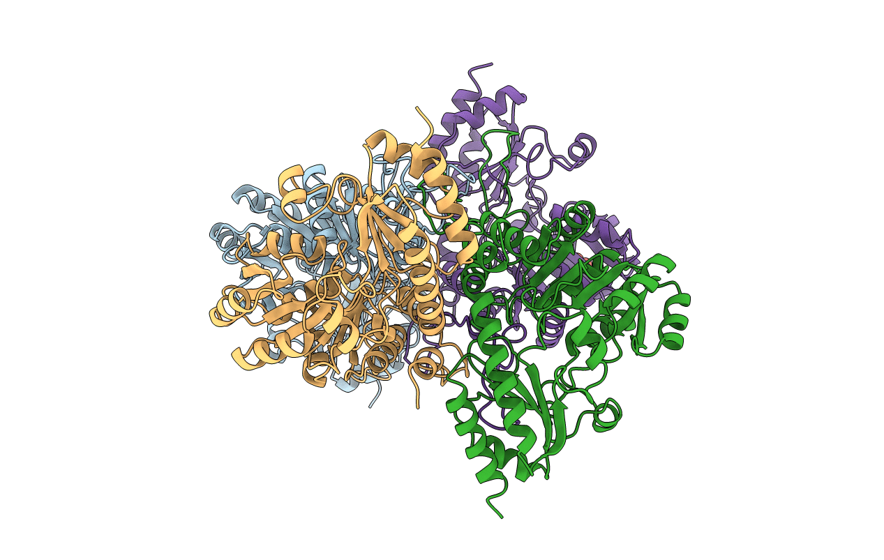 1CS1 image