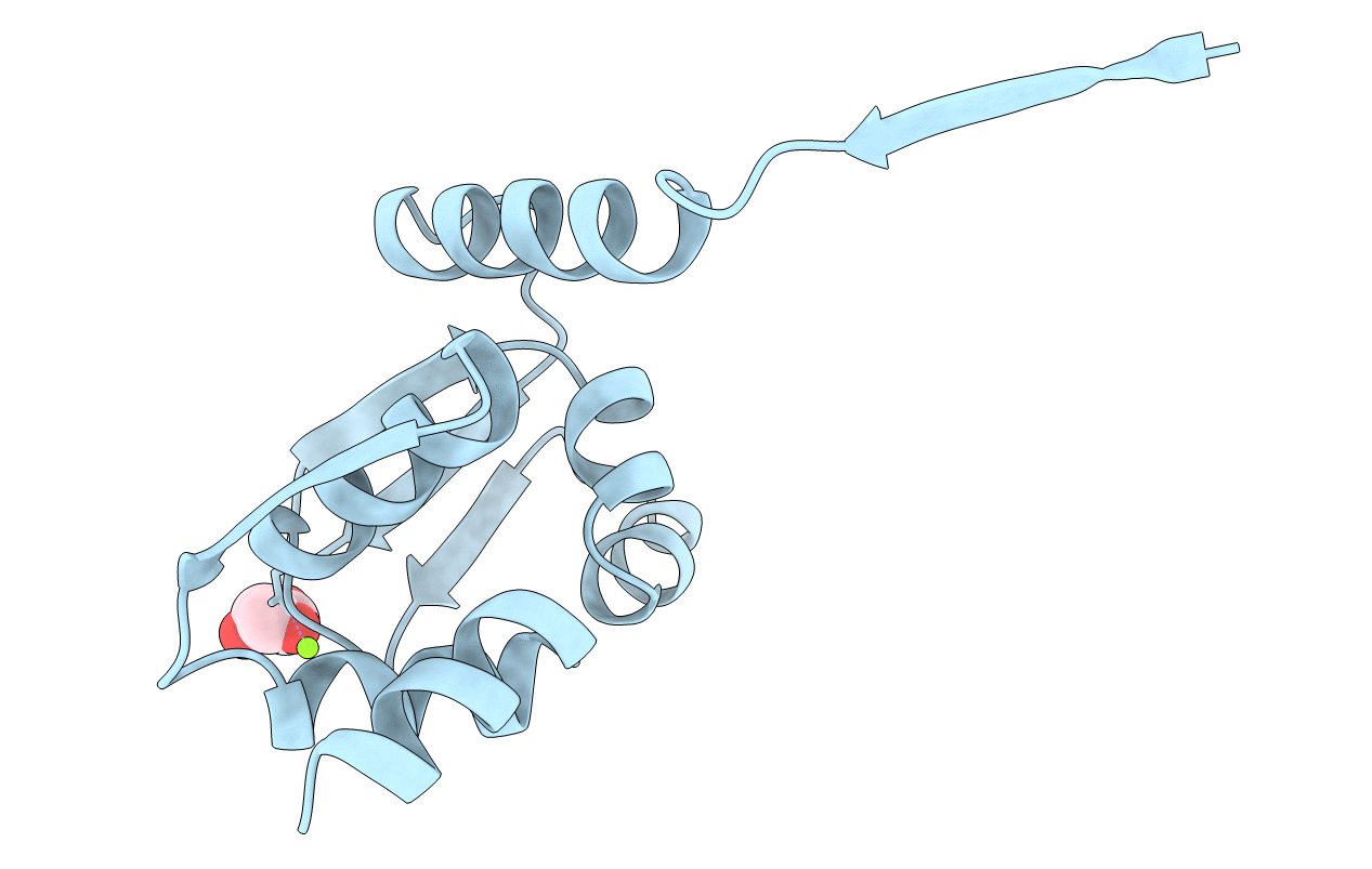 1CS3 image