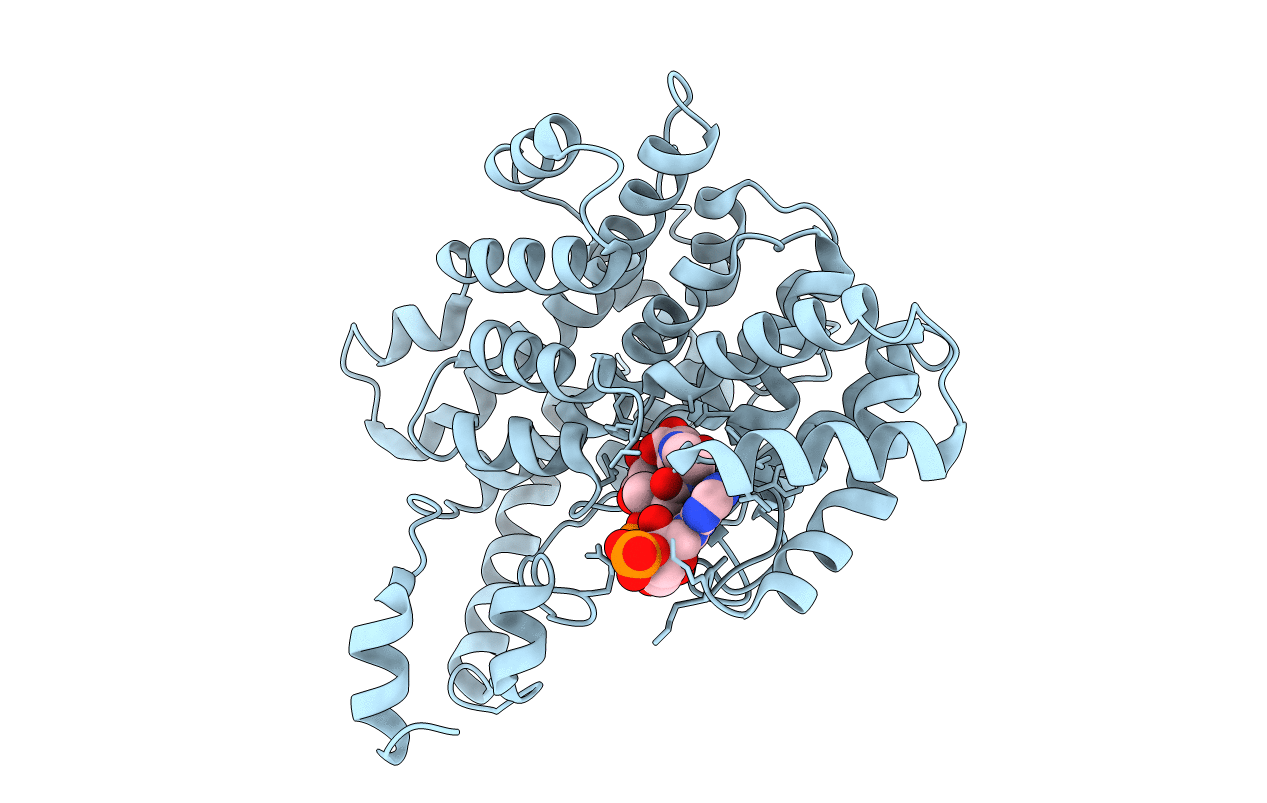 1CSI image