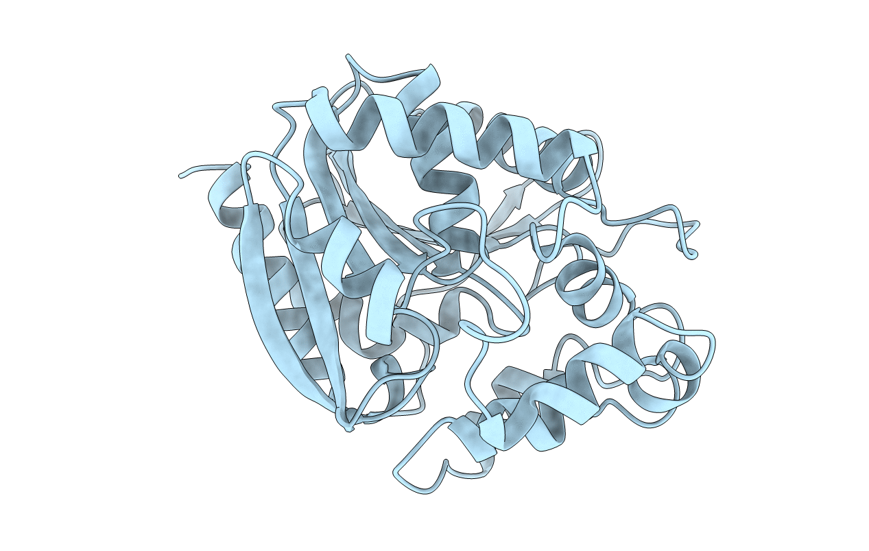1CV2 image