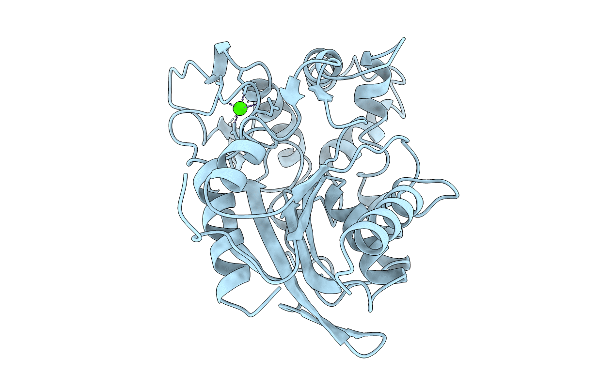 1CVL image