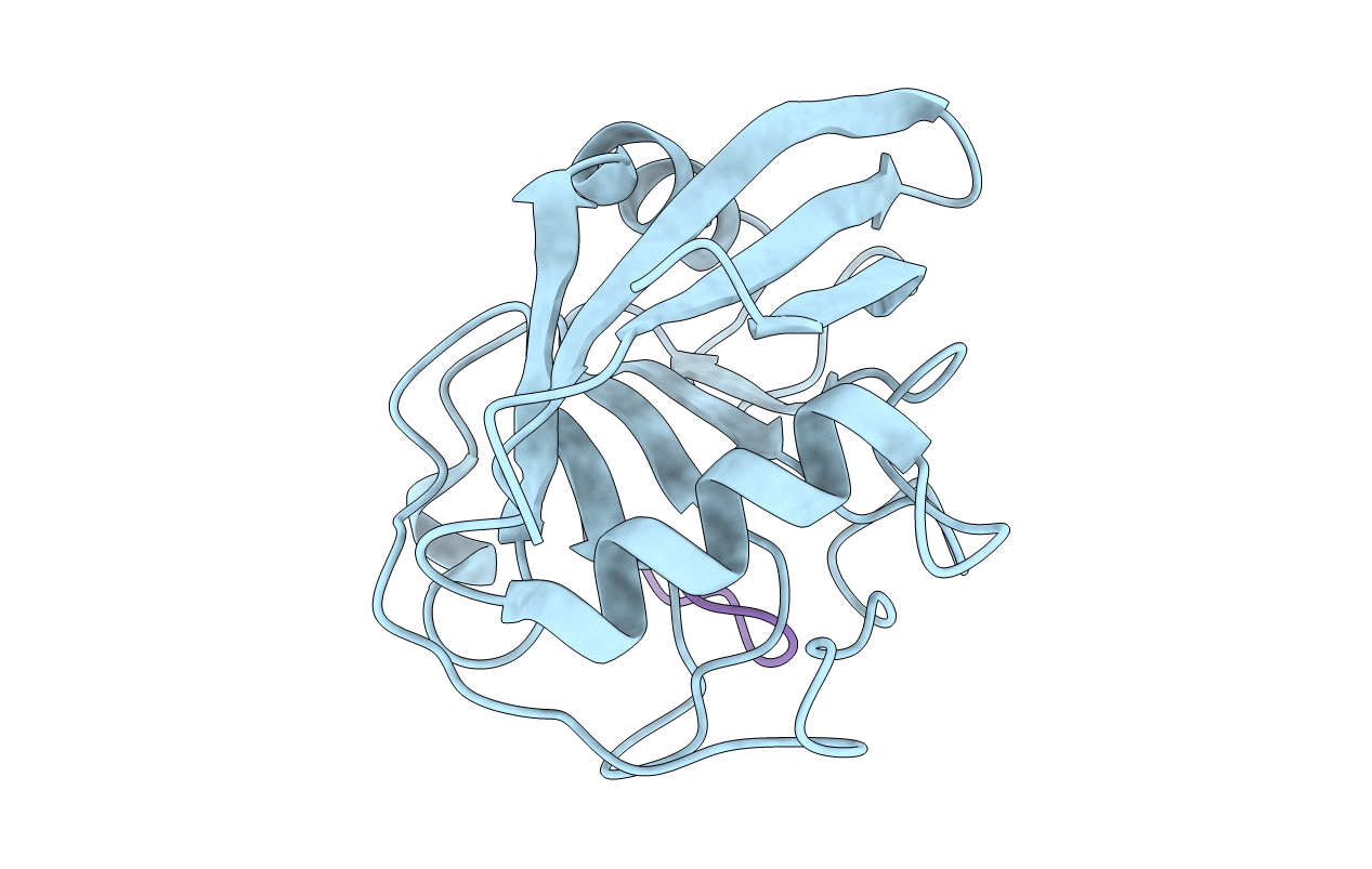 1CWH image