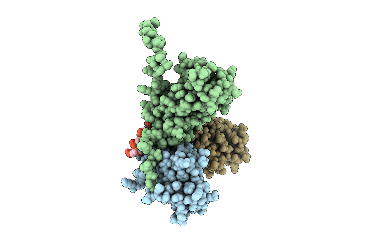 1CWP image