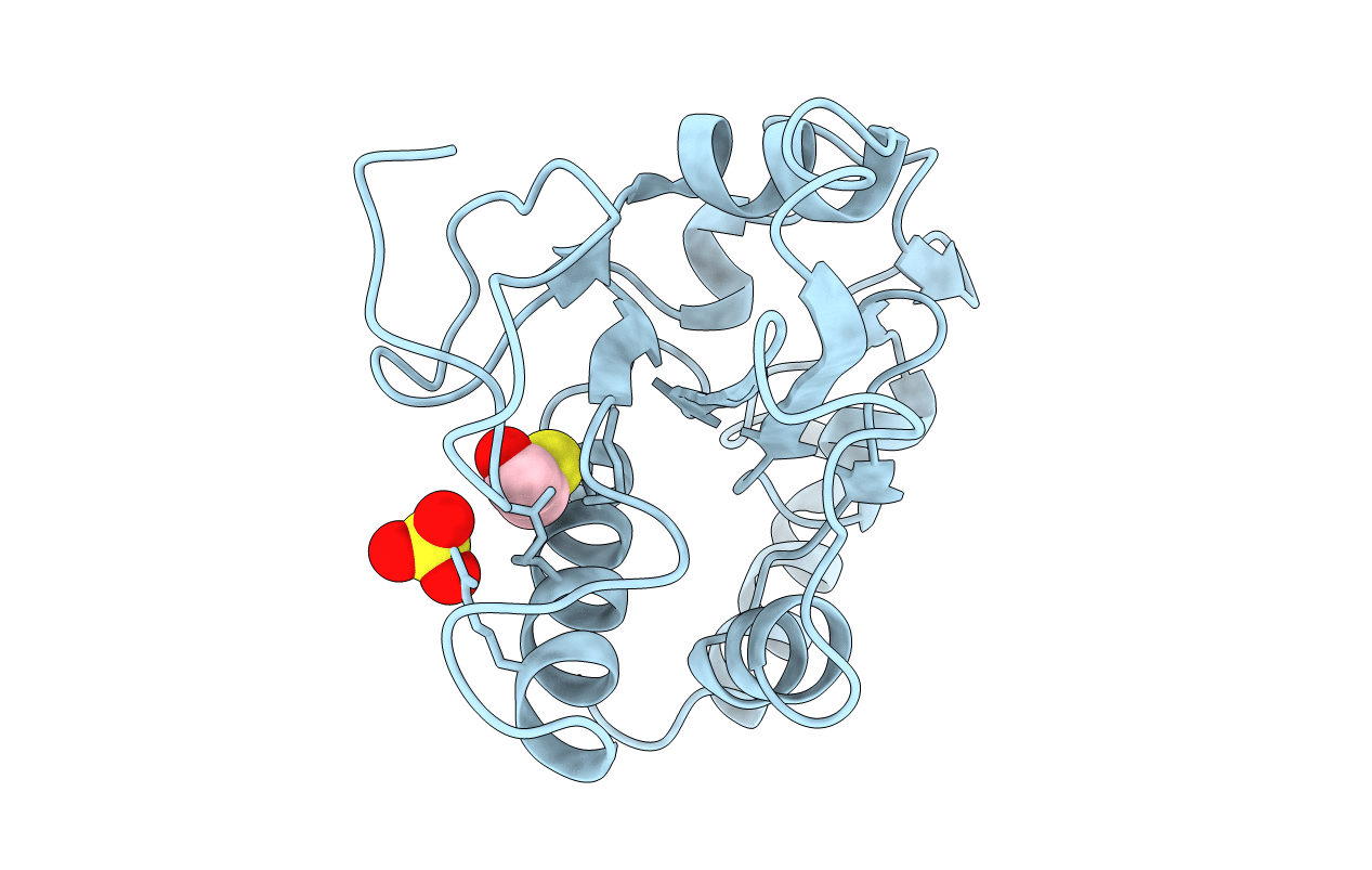1CWR image