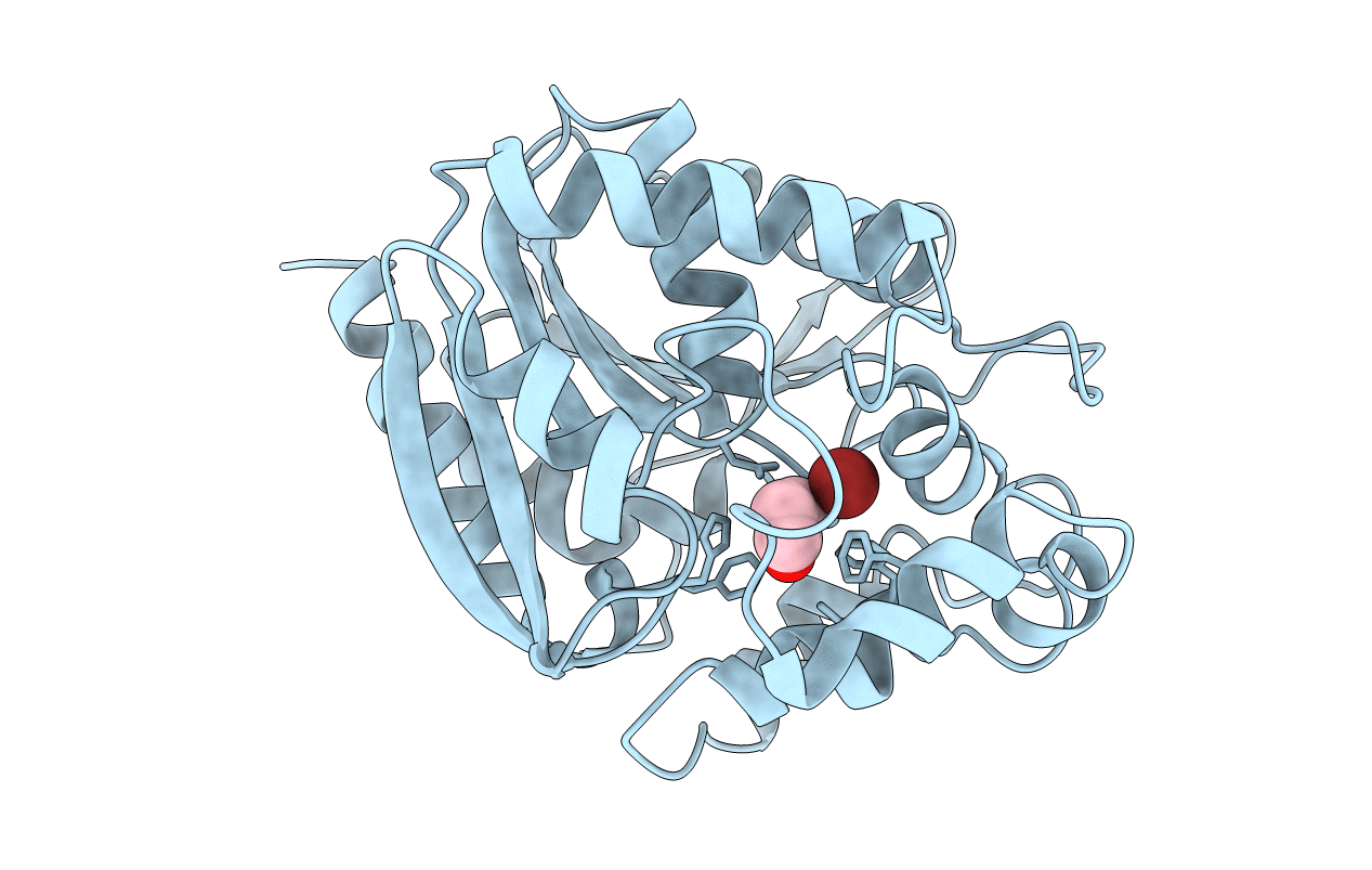 1D07 image