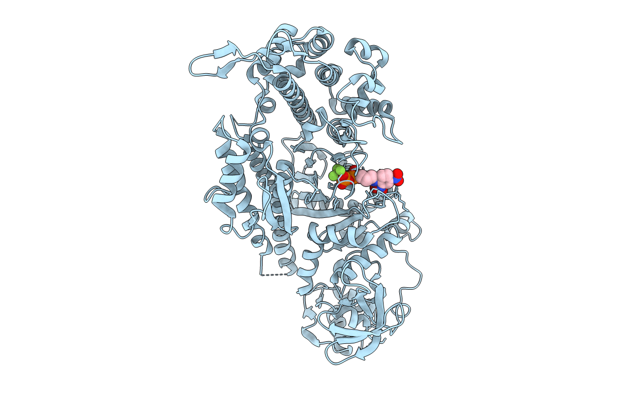 1D1B image