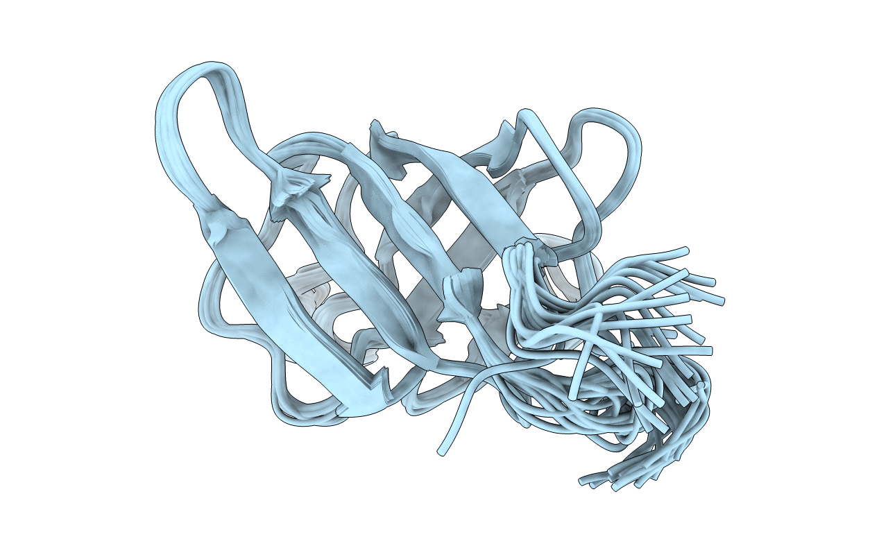 1D1N image