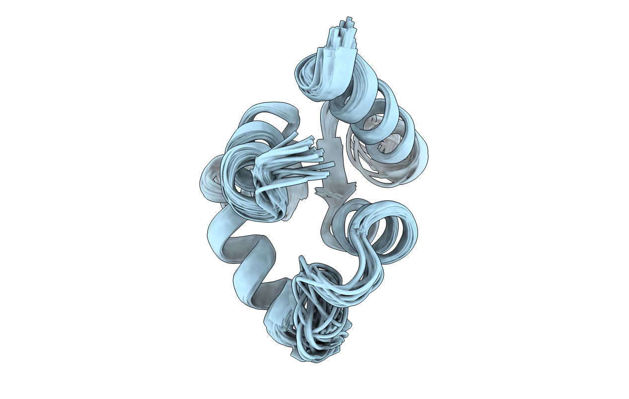 1D1O image