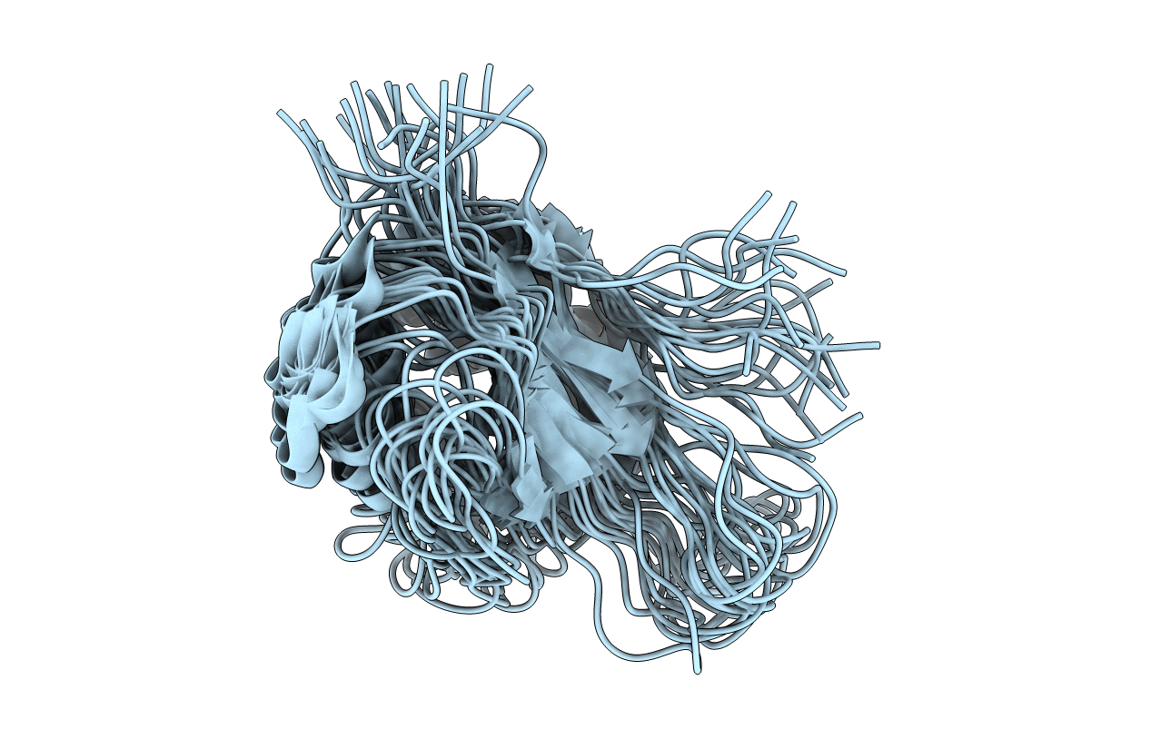 1D1R image