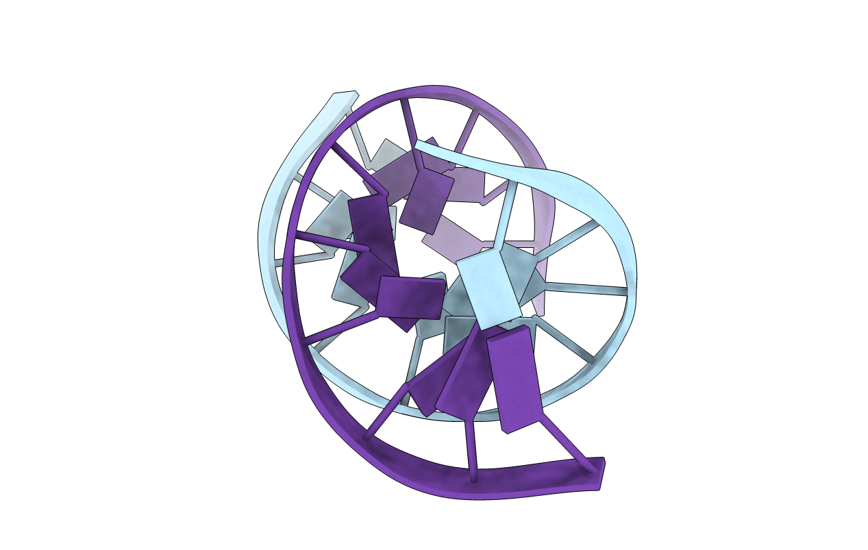 1D20 image