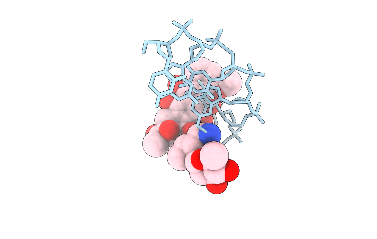 1D35 image