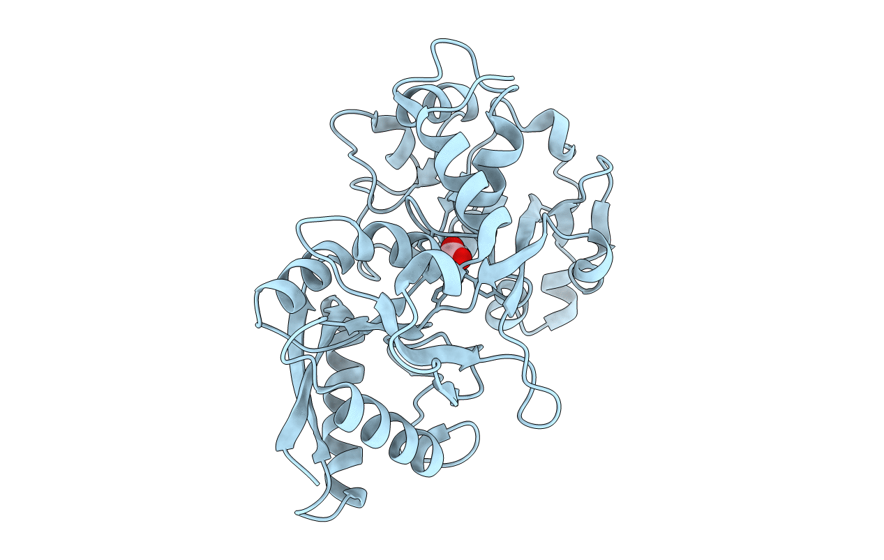 1D3K image