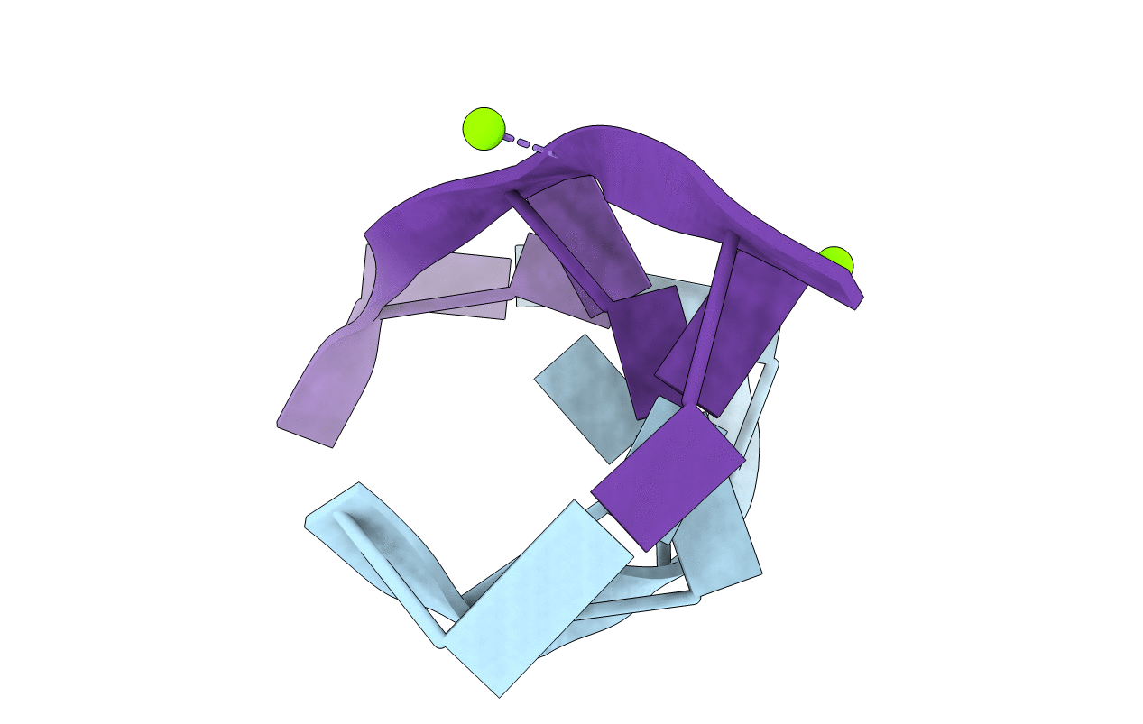 1D41 image