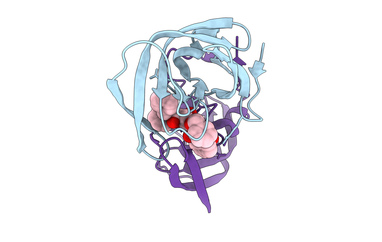 1D4H image