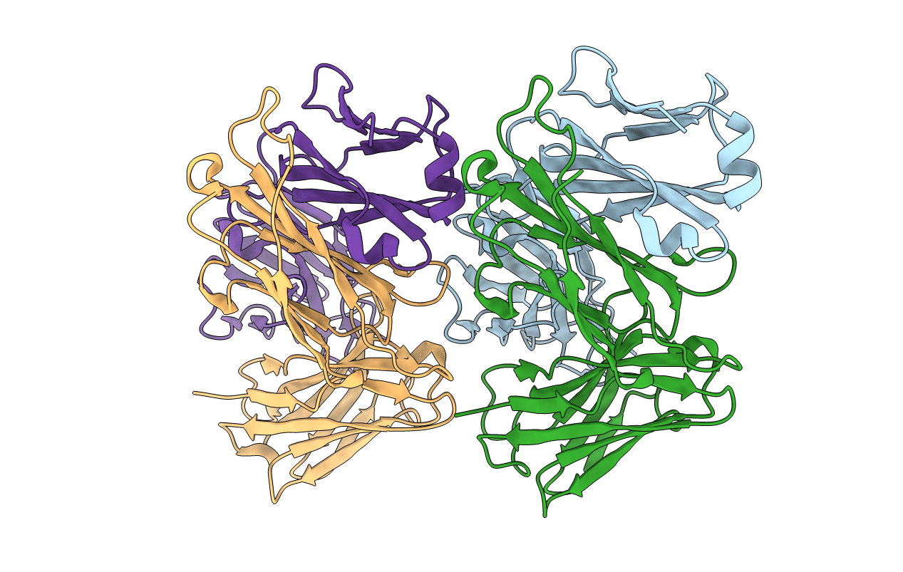 1D5B image