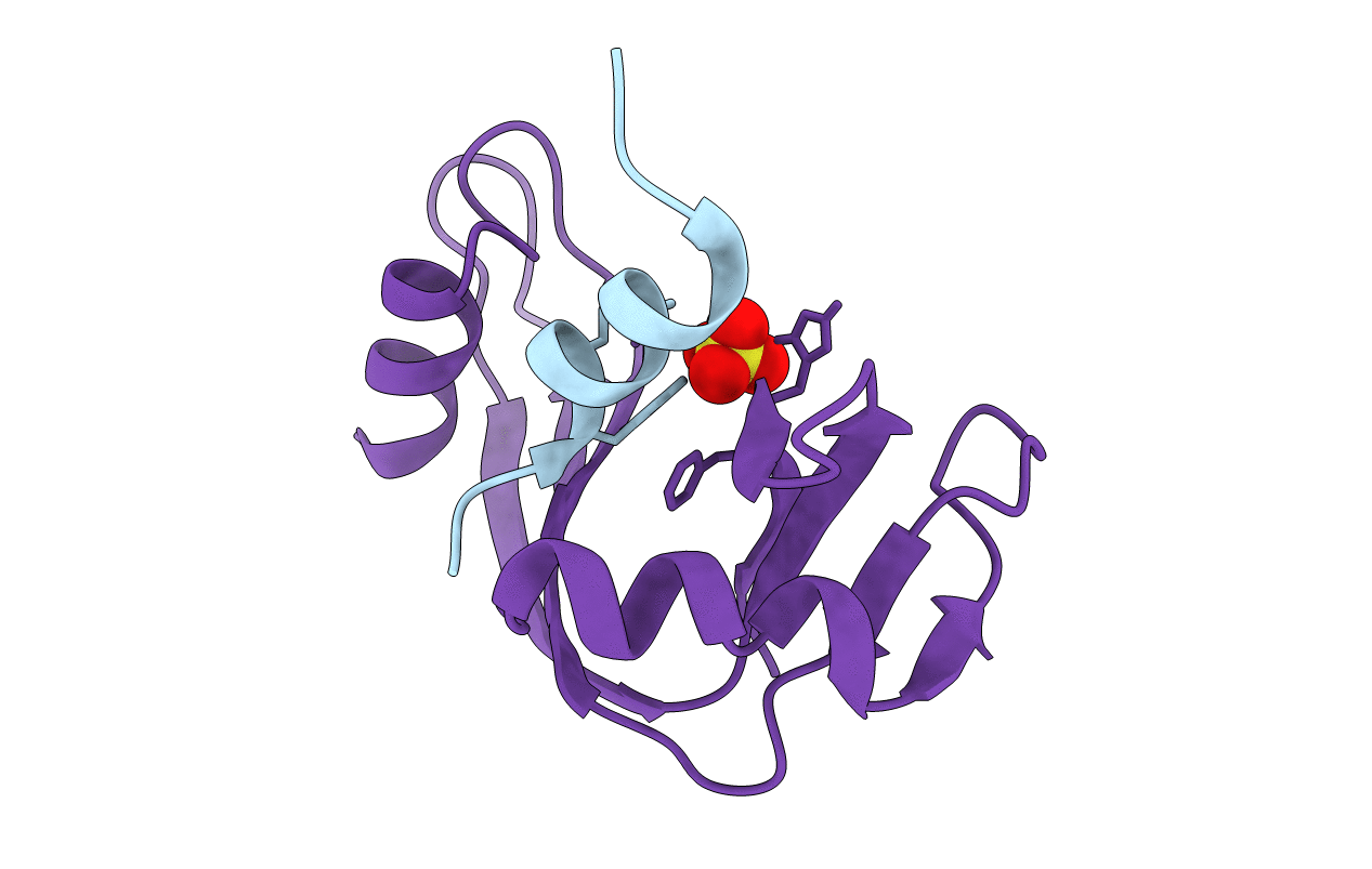 1D5H image