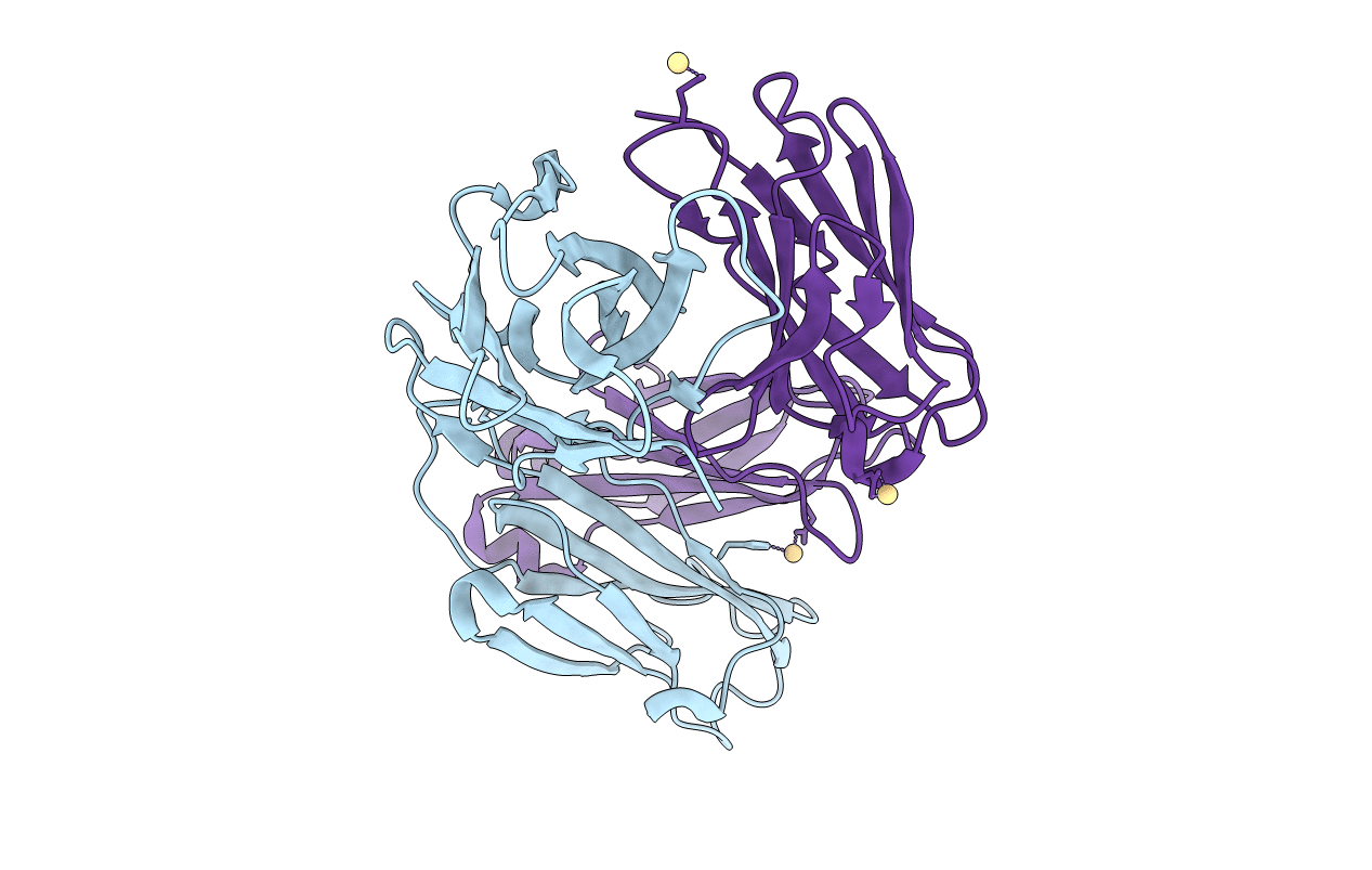 1D5I image