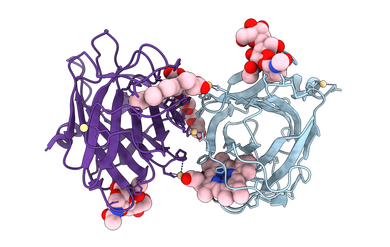 1D7B image