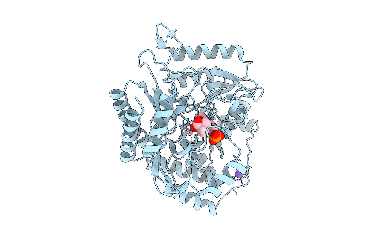 1D7V image