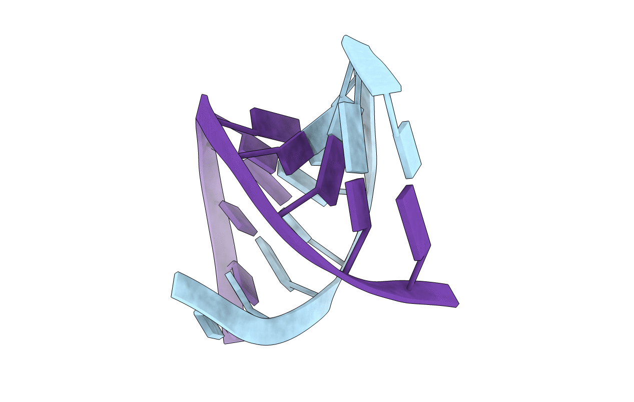 1D9H image
