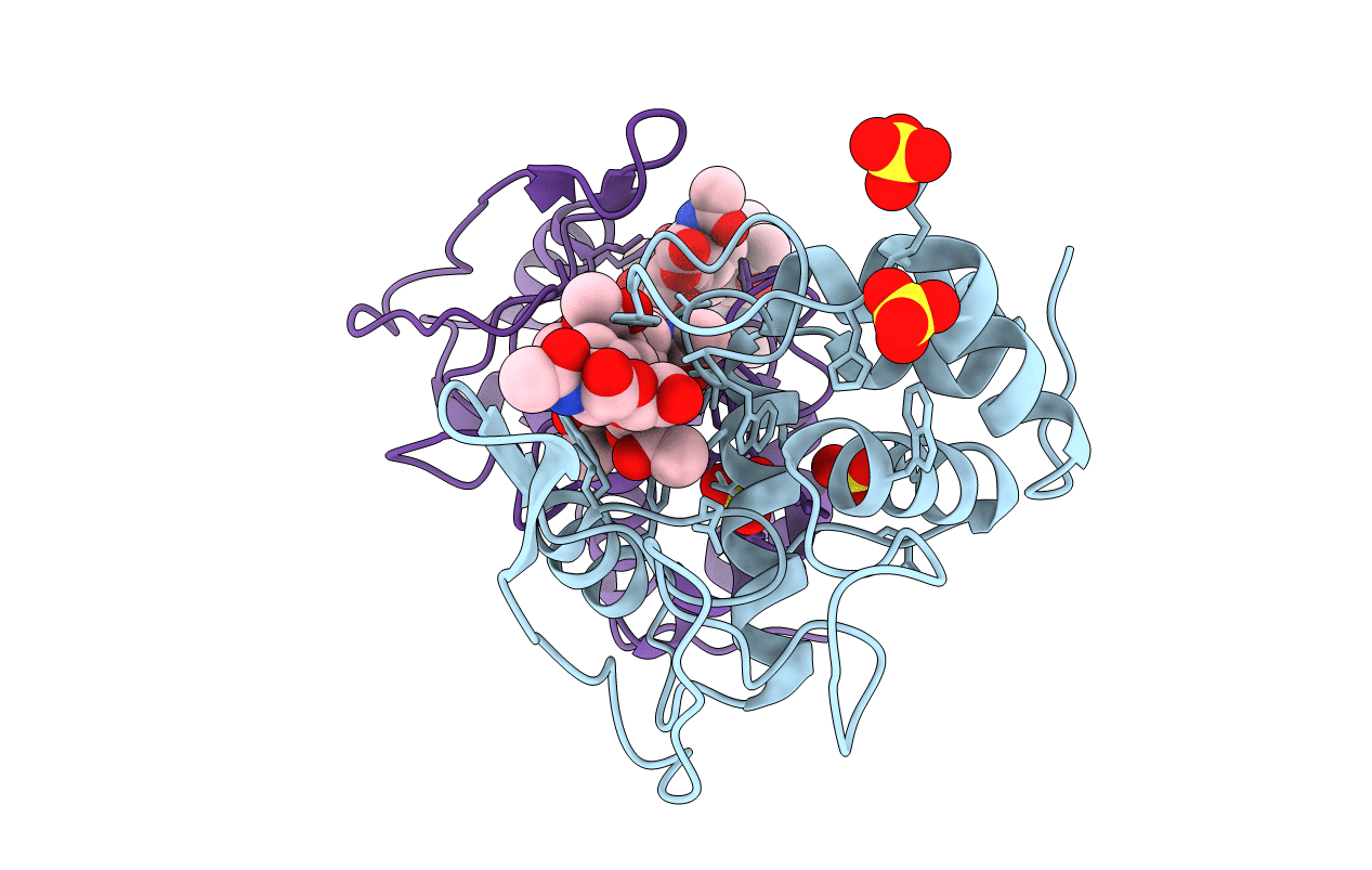 1D9U image