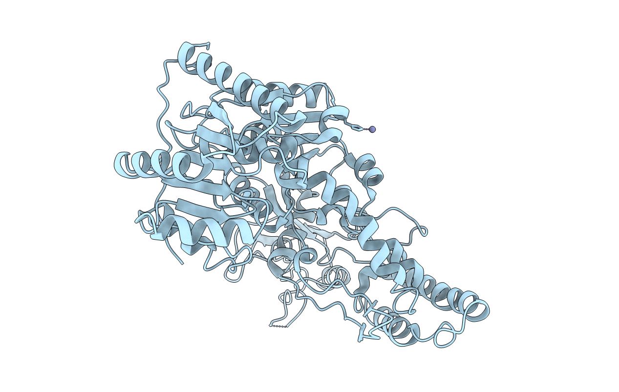 1D9X image