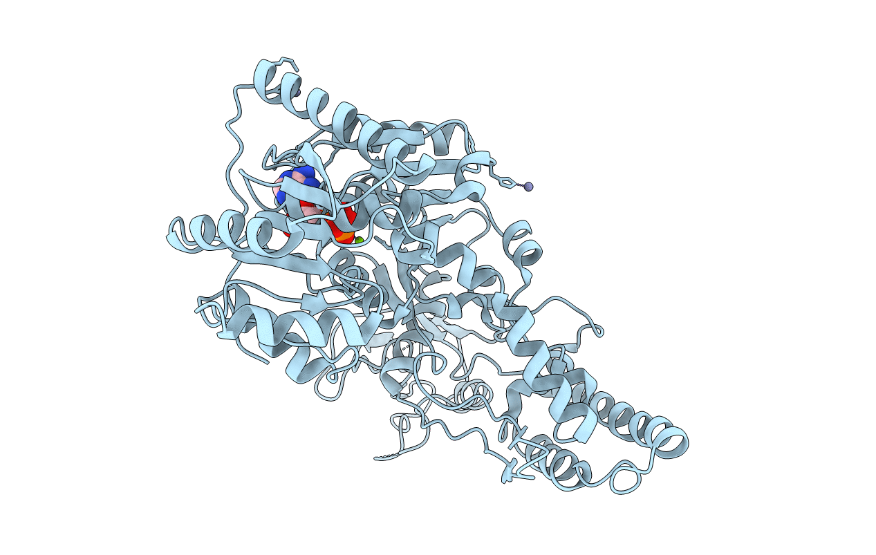 1D9Z image