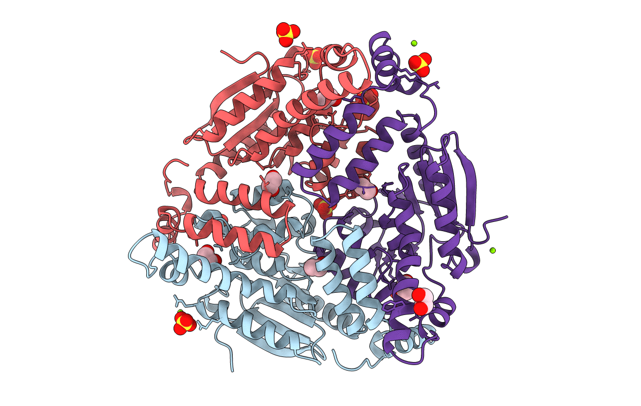 1DCI image