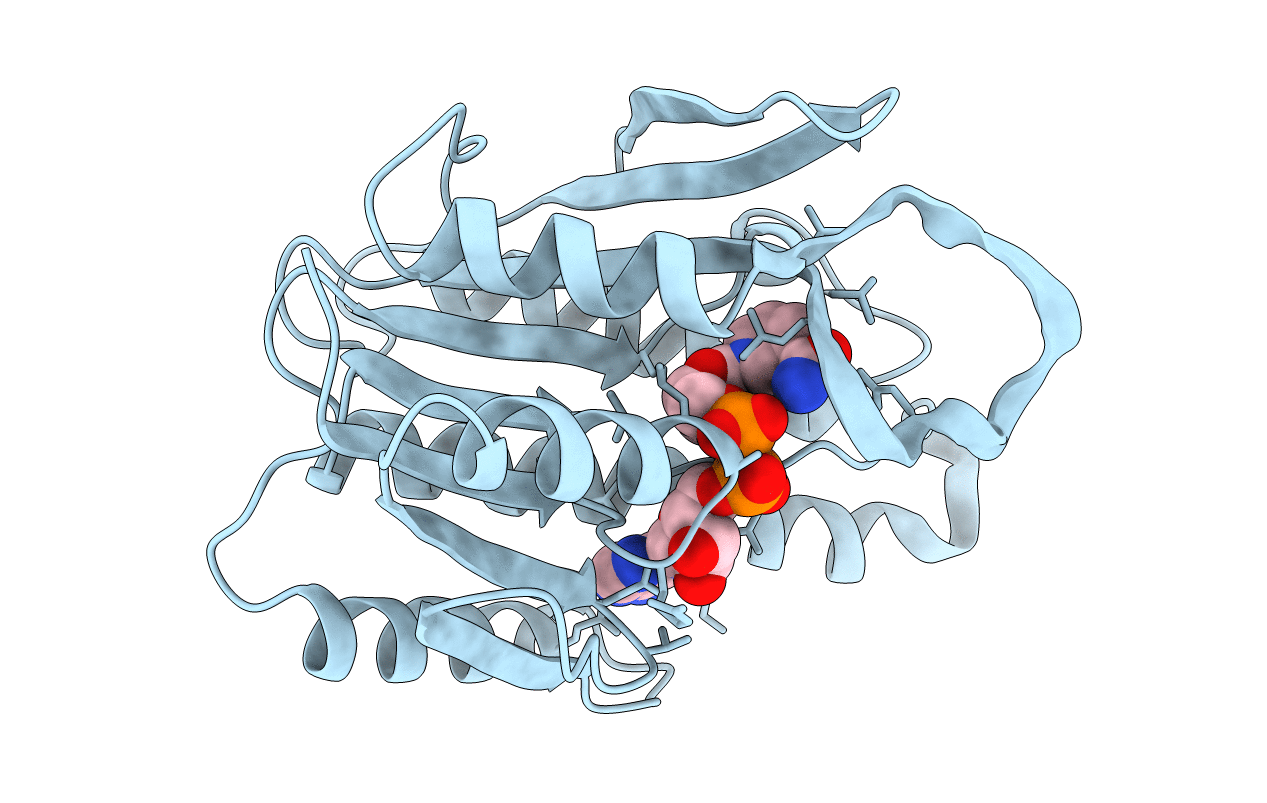 1DHR image