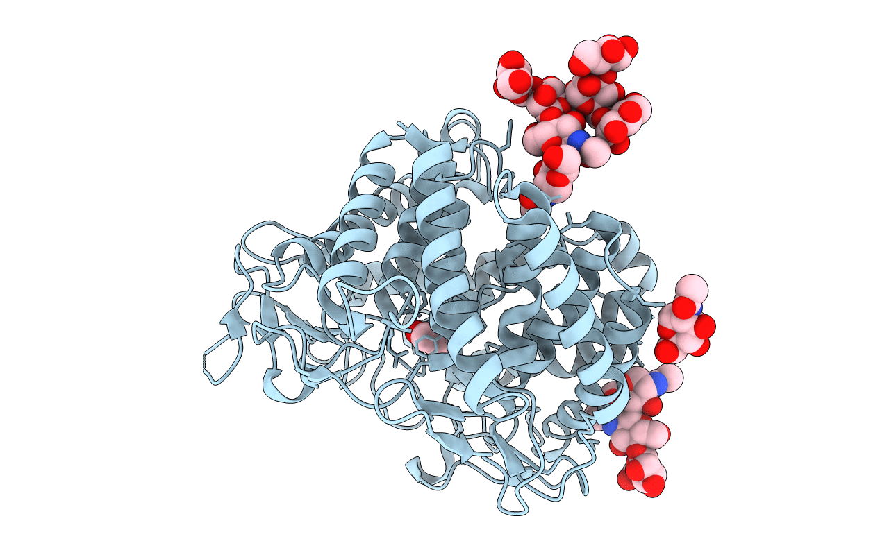 1DL2 image