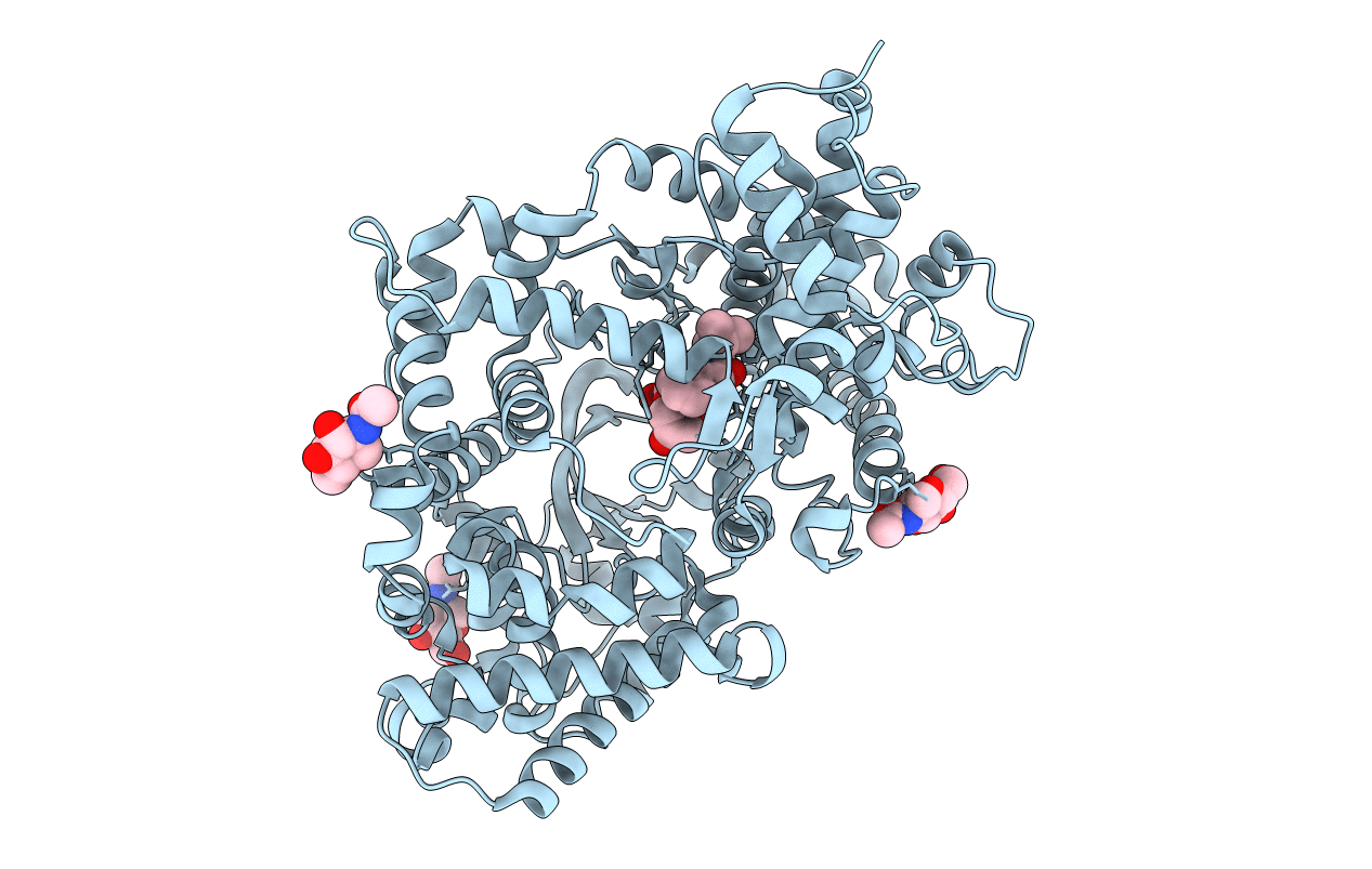 1DMT image