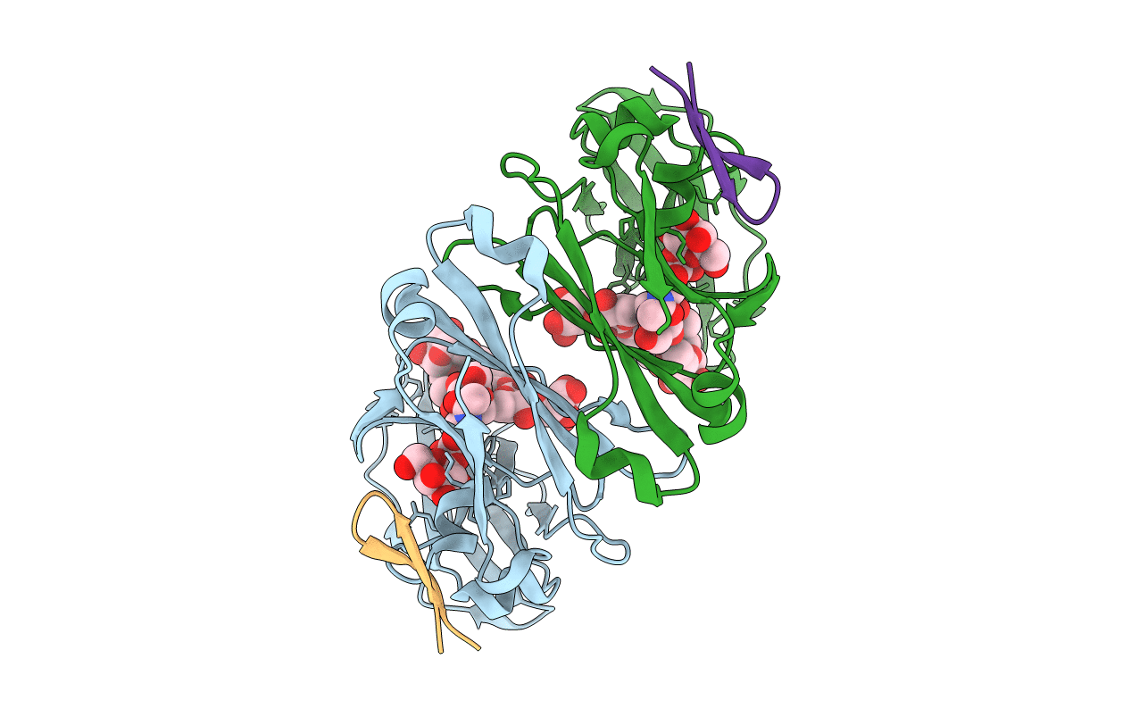 1DN2 image