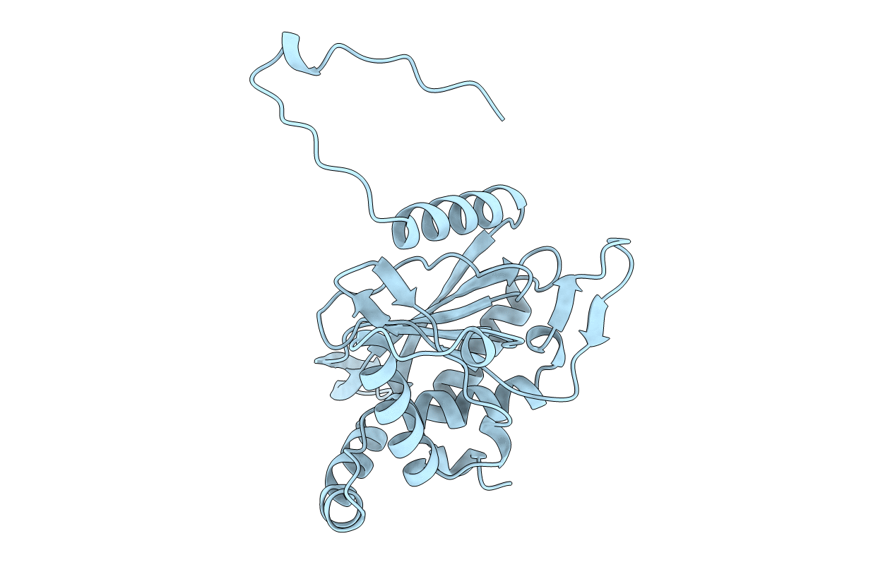 1DPB image