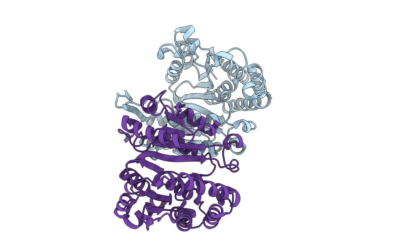 1DR0 image