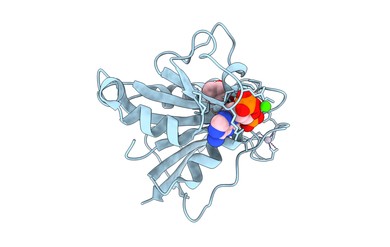 1DR4 image