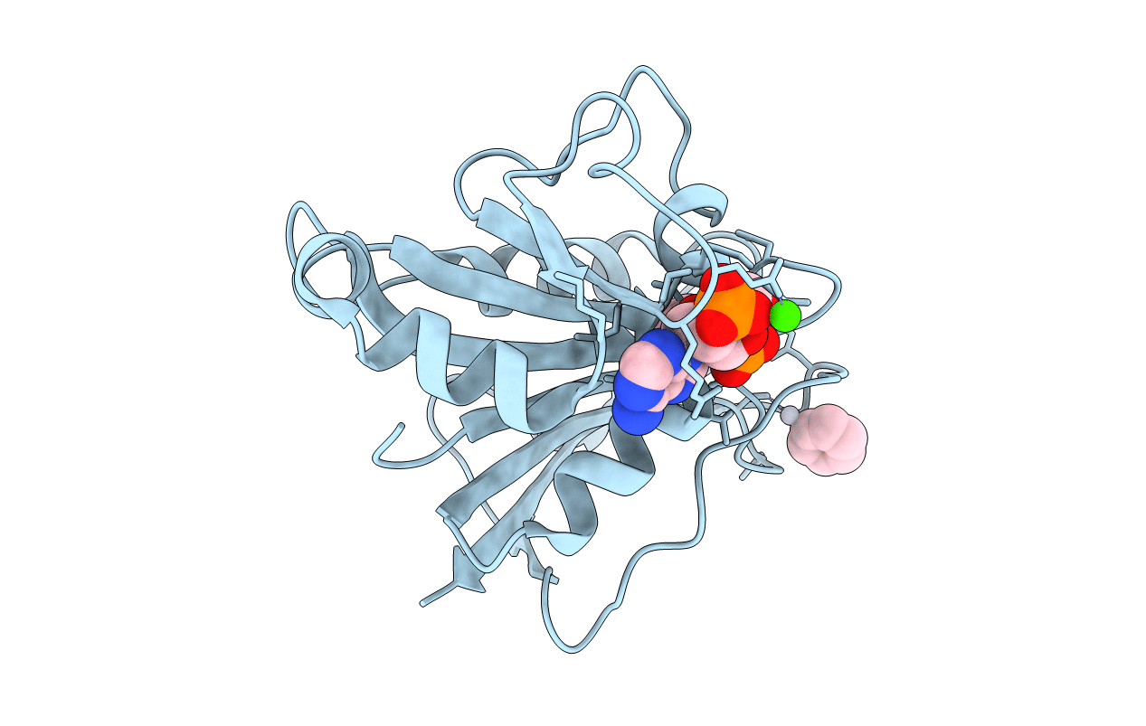 1DR7 image