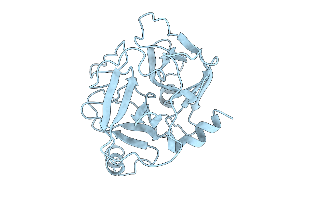 1DST image