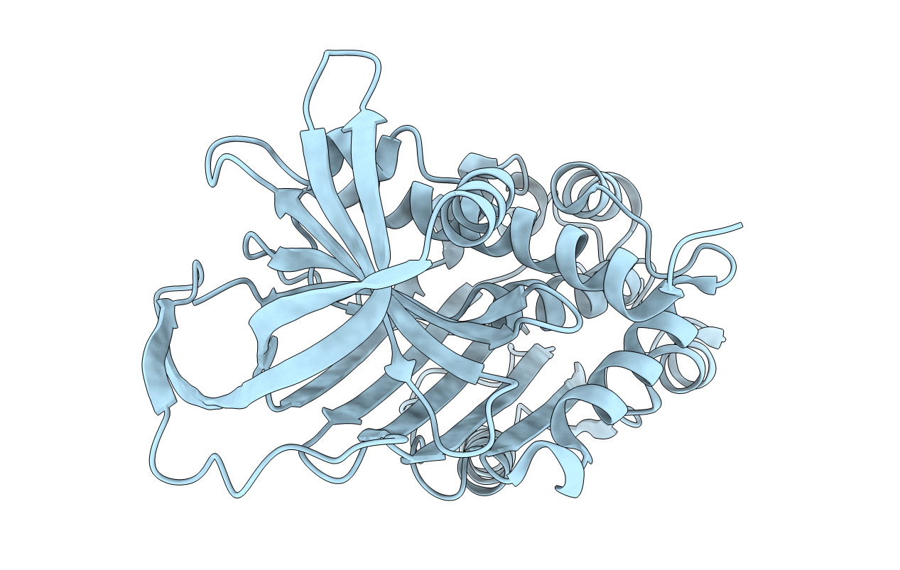 1DVN image
