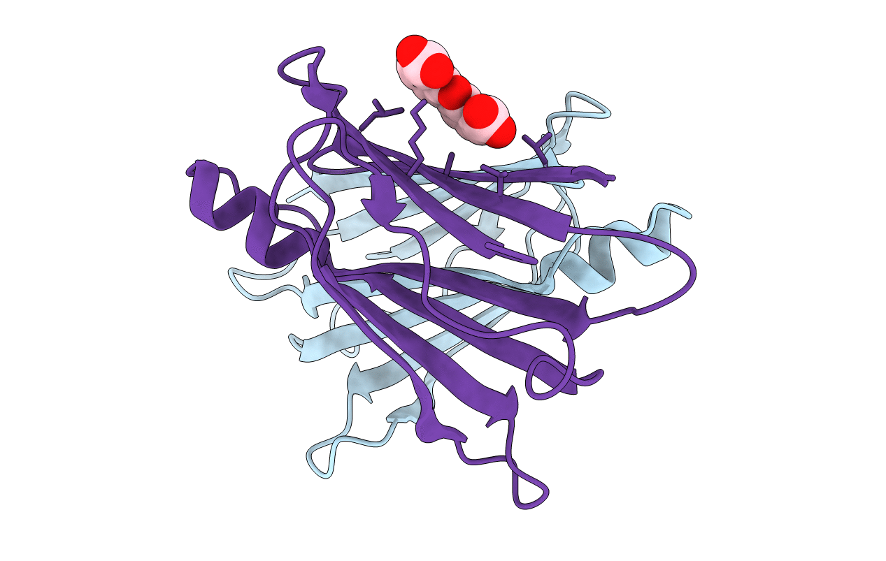 1DVU image