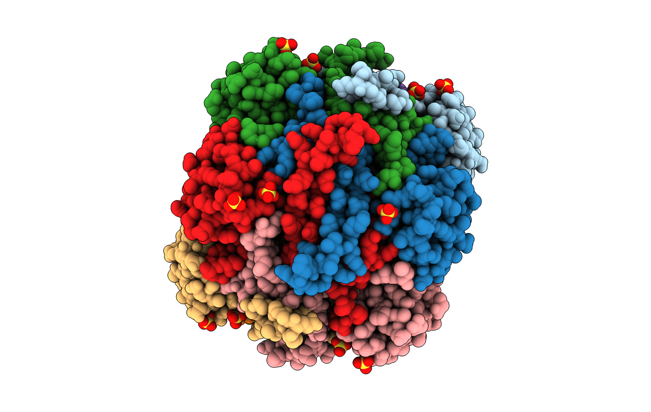1DWK image