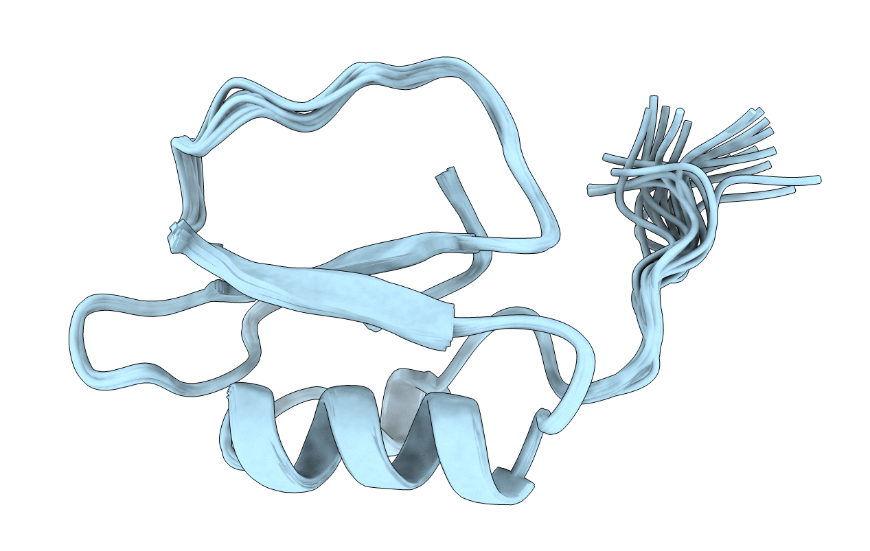 1DWM image