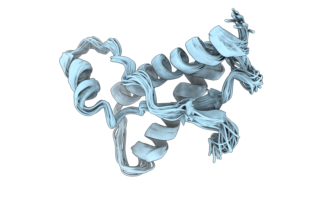 1DX1 image