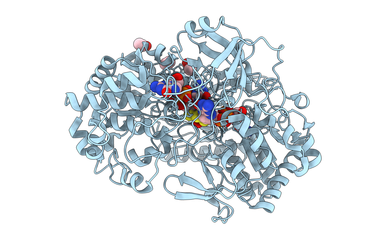 1E18 image