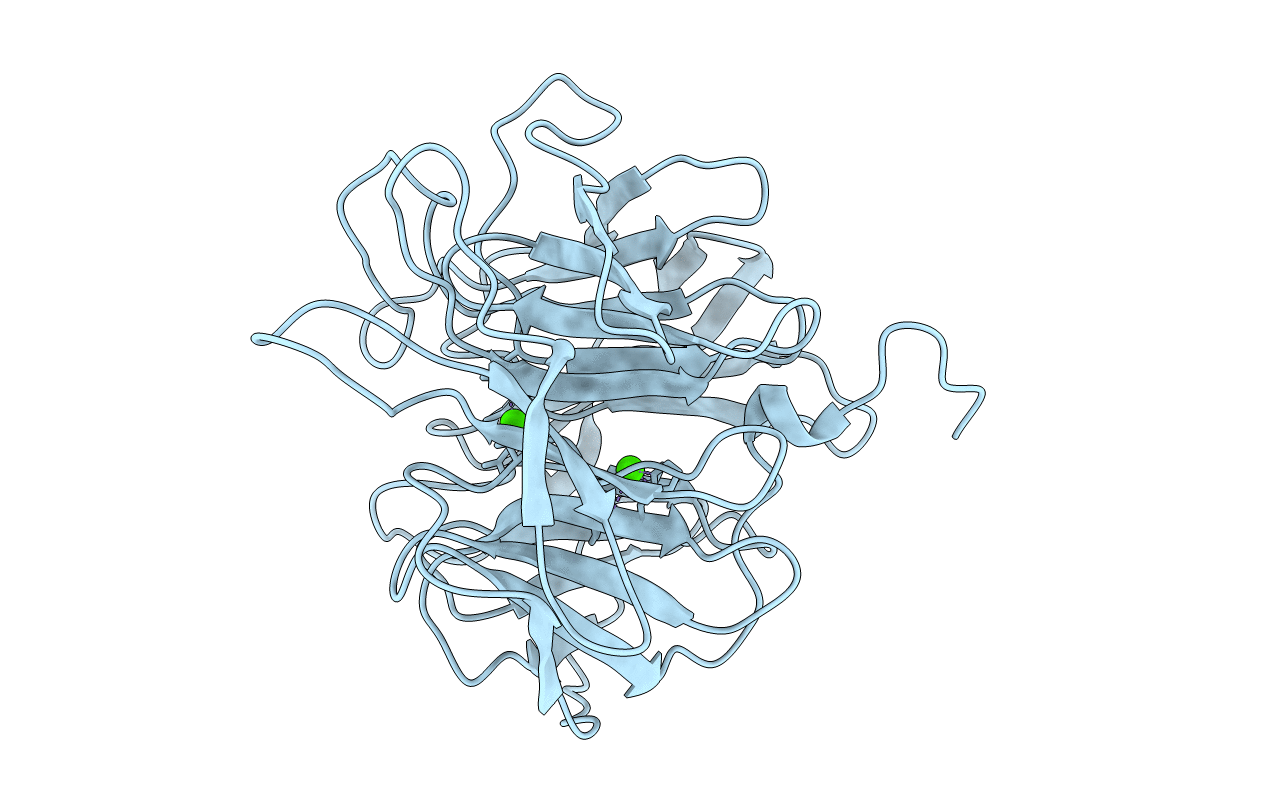 1E1A image