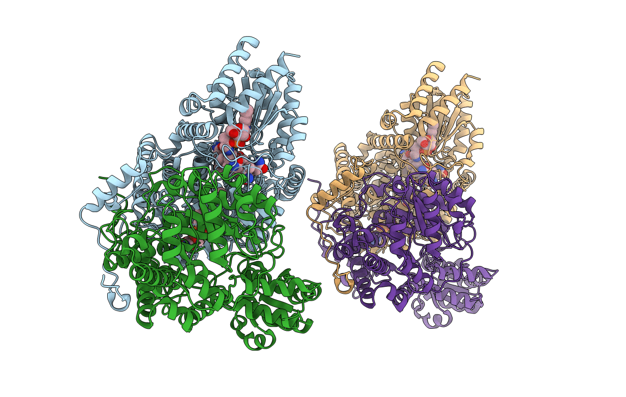 1E1C image