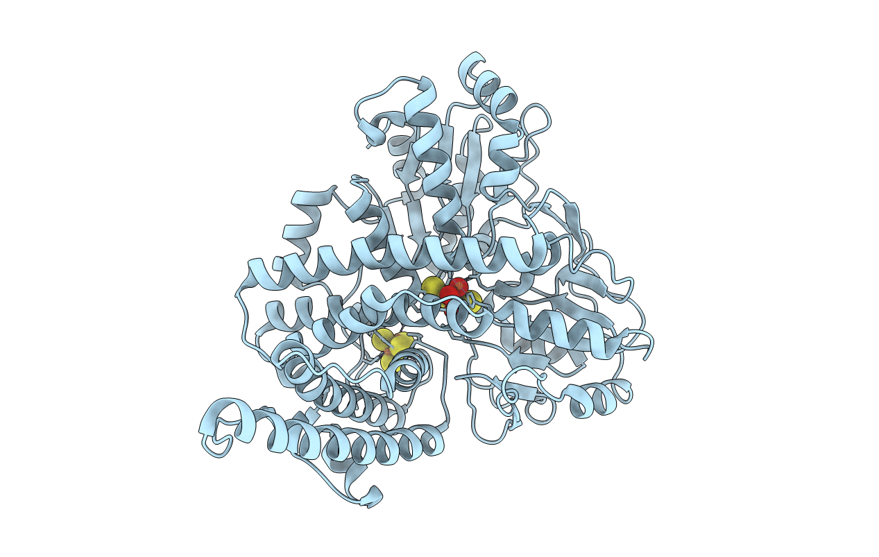 1E1D image